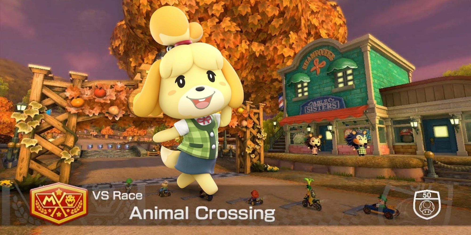 Animal Crossing Kart Better Idea Than Mario Kart 8 Deluxe DLC