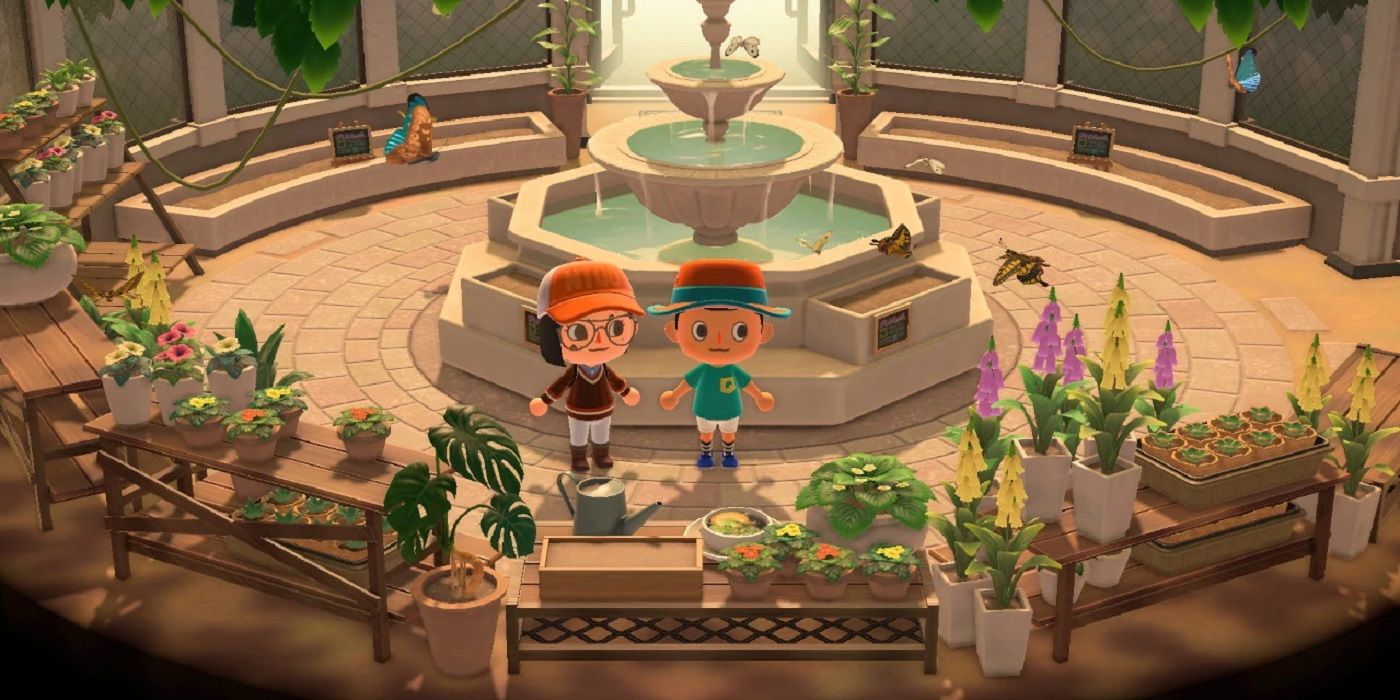 Animal Crossing's Museum Is An Official Book