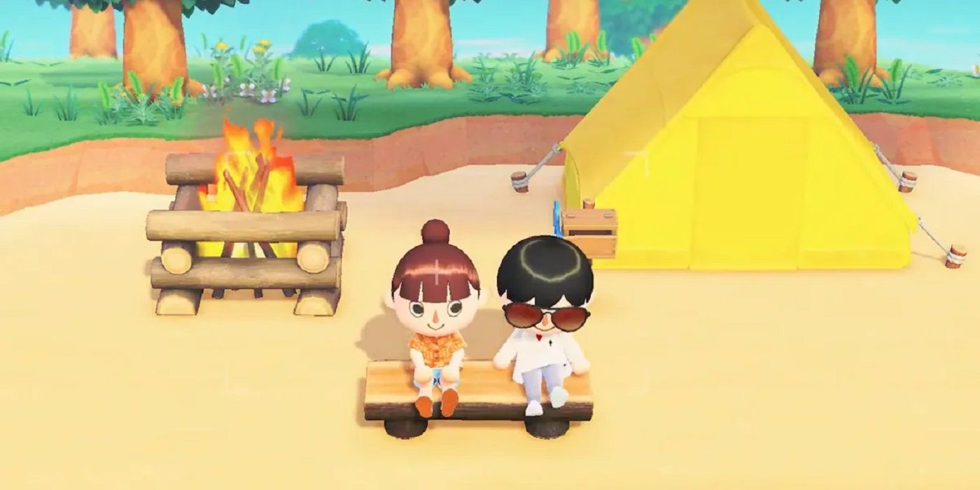 Animal Crossing New horizons Summer Camping