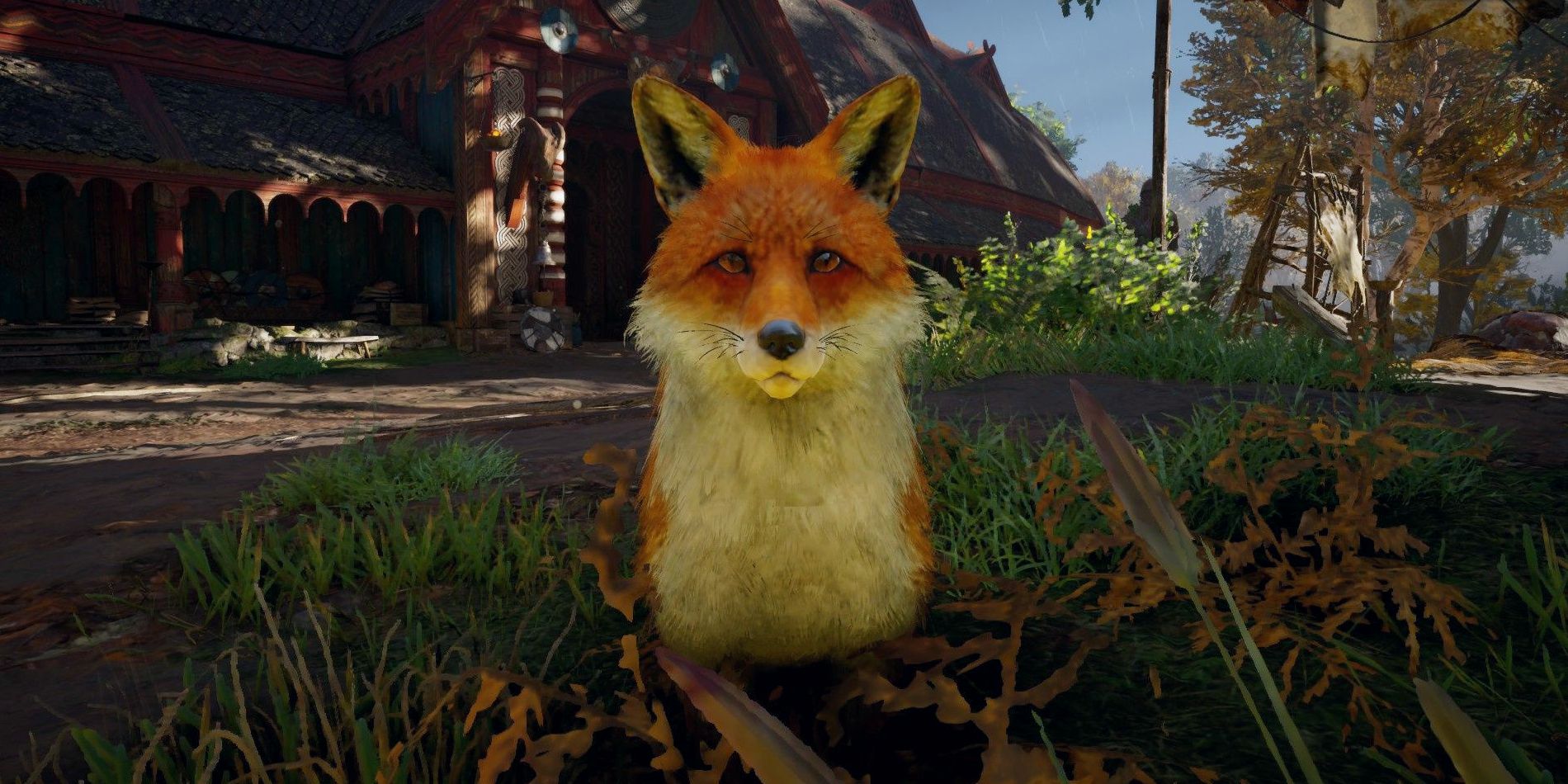 Assassin's Creed Valhalla's Best Animal Companions, Ranked