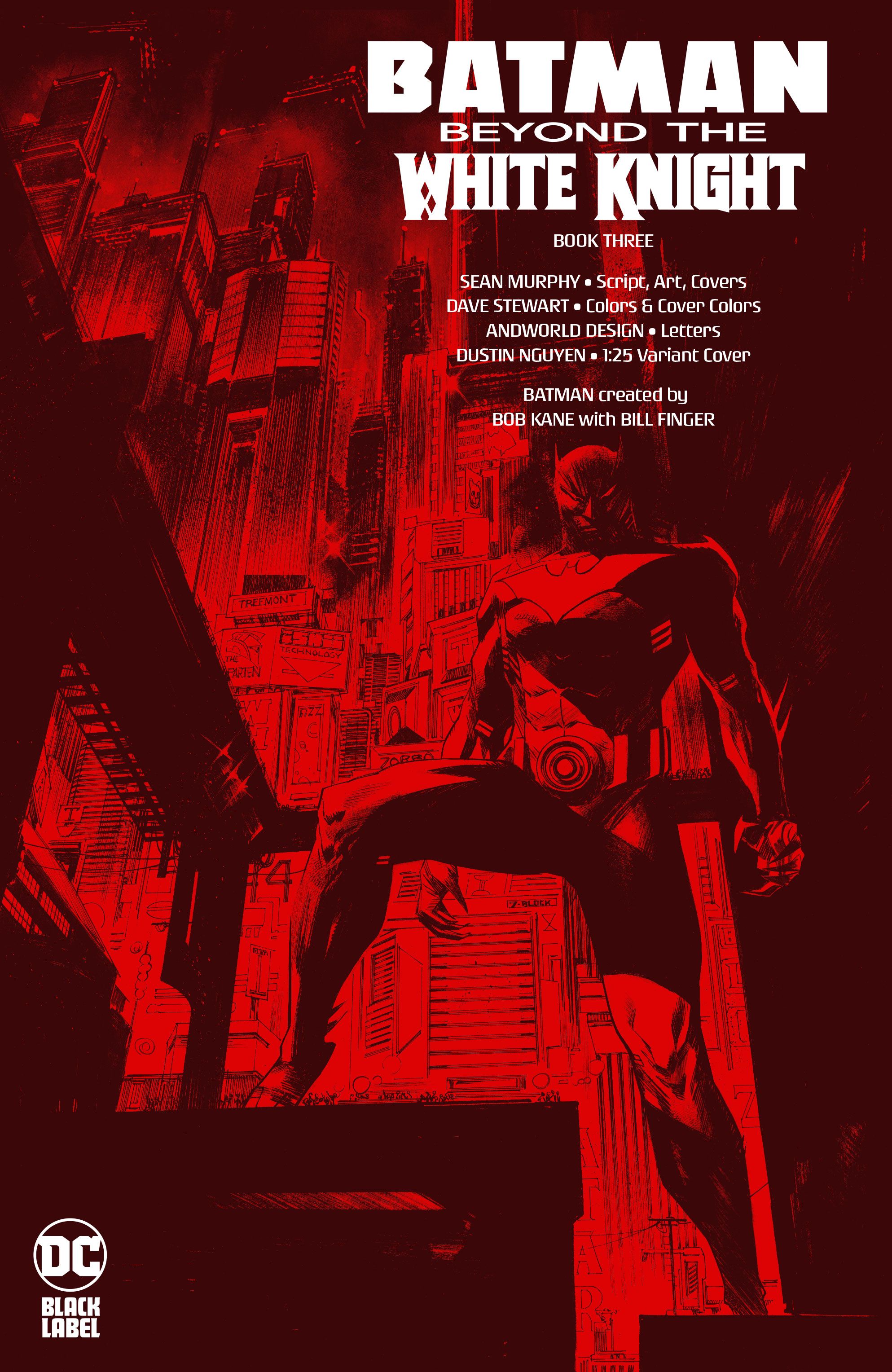 Batman-Beyond-the-White-Knight-3-4