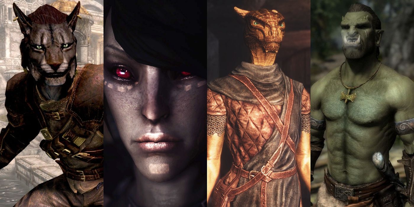 Skyrim Mods That Make Playable Races Better