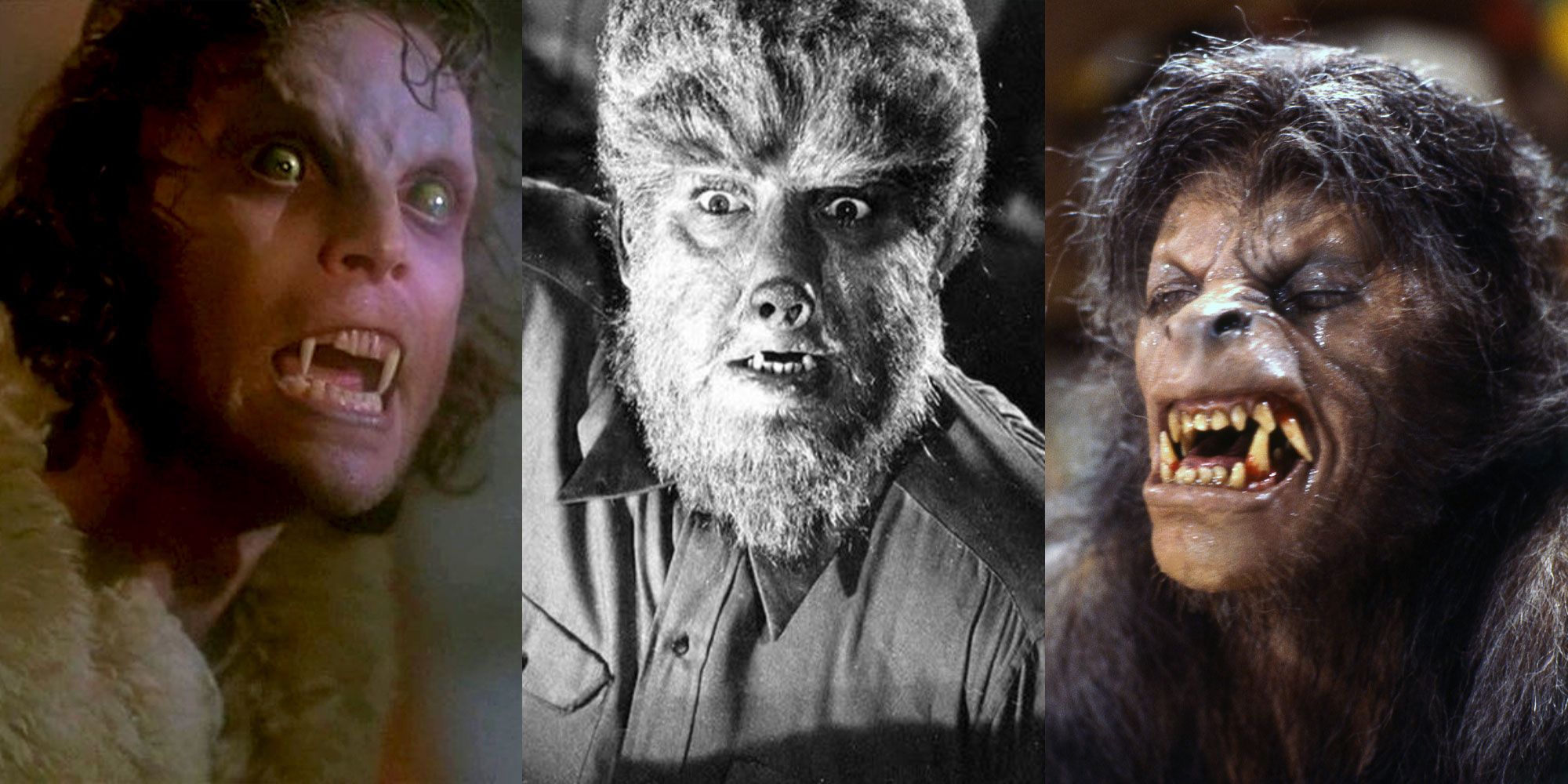 A split image of werewolves from different movies.