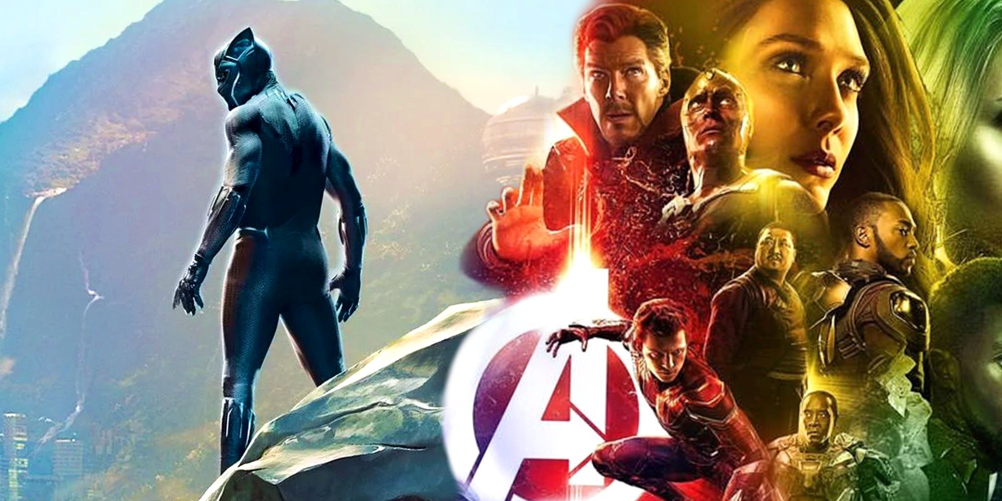 Black Panther Wakanda Forever and Avengers Infinity War