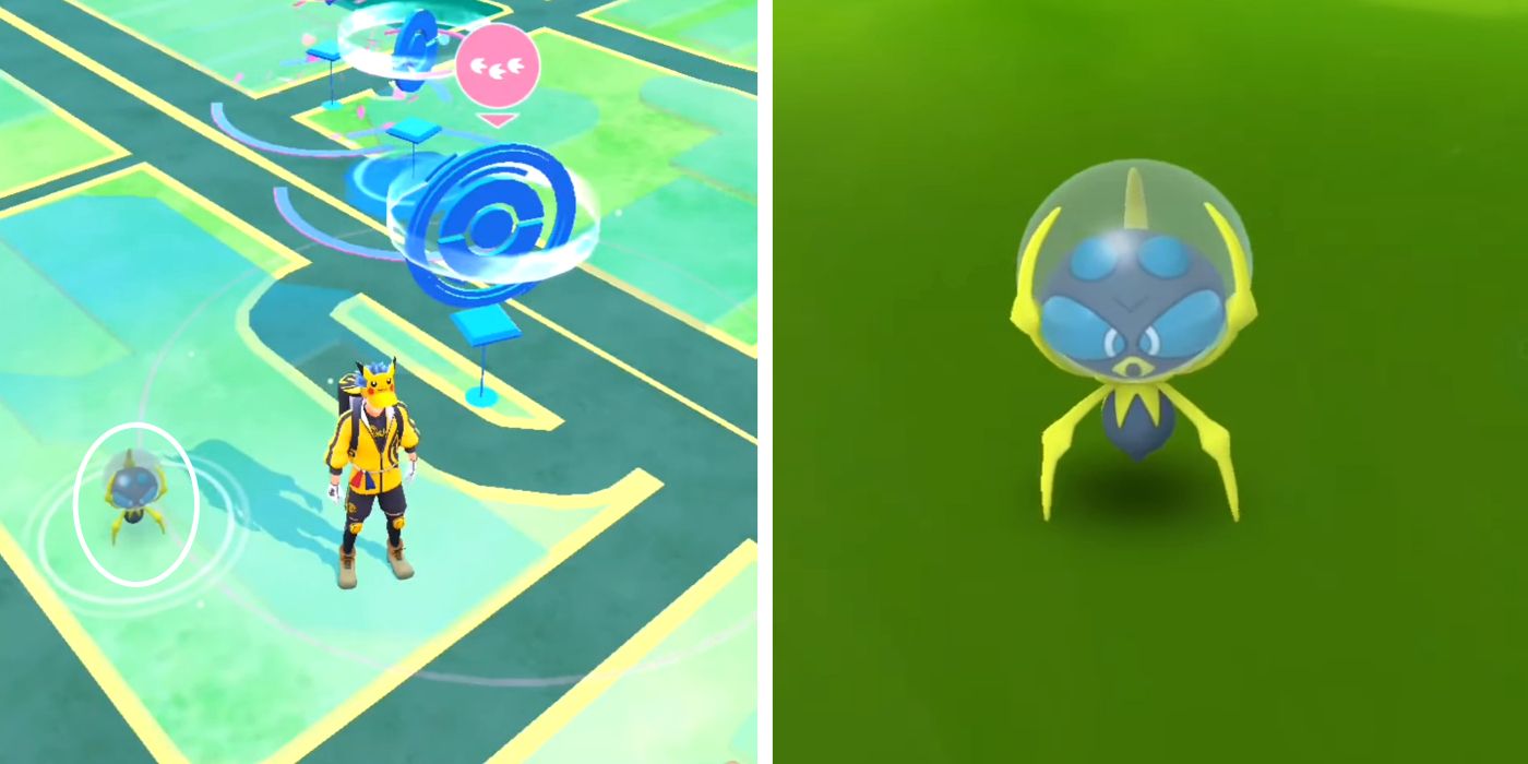 Catching Dewpider In Pokémon GO