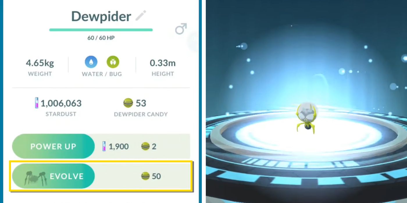 Dewpider Evolution Guide In Pokémon GO