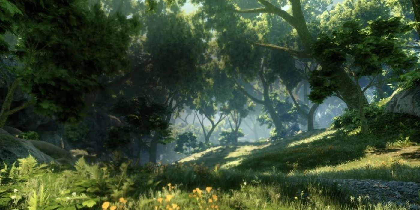 A forest with luscious trees in Dragon Age Inquisition.