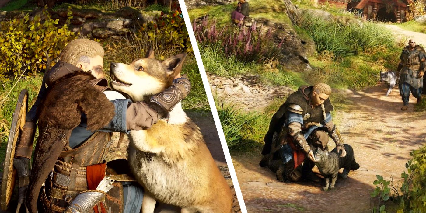 Every AC Valhalla Animal You Can Pet Ranked Petting Dog Cat