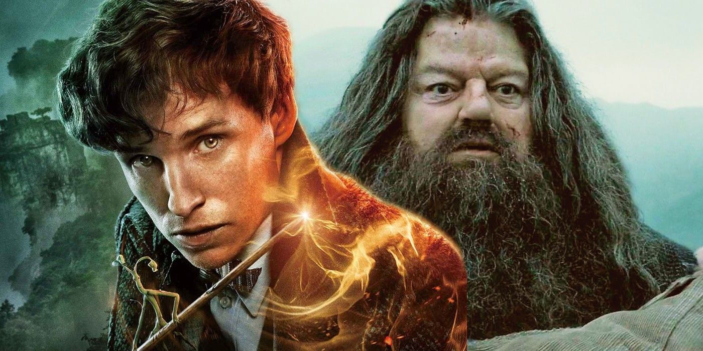 Fantastic Beasts Hagrid and Newt Scamander with Wand