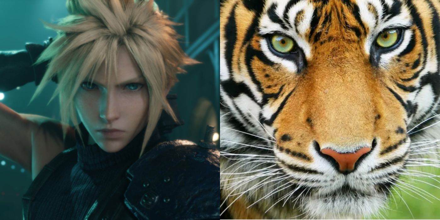 A two-image collage. On the left, Cloud Strife gives the camera a brooding look in Final Fantasy VII. On the right, a tiger (his Chinese zodiac sign) stares into the camera as well.