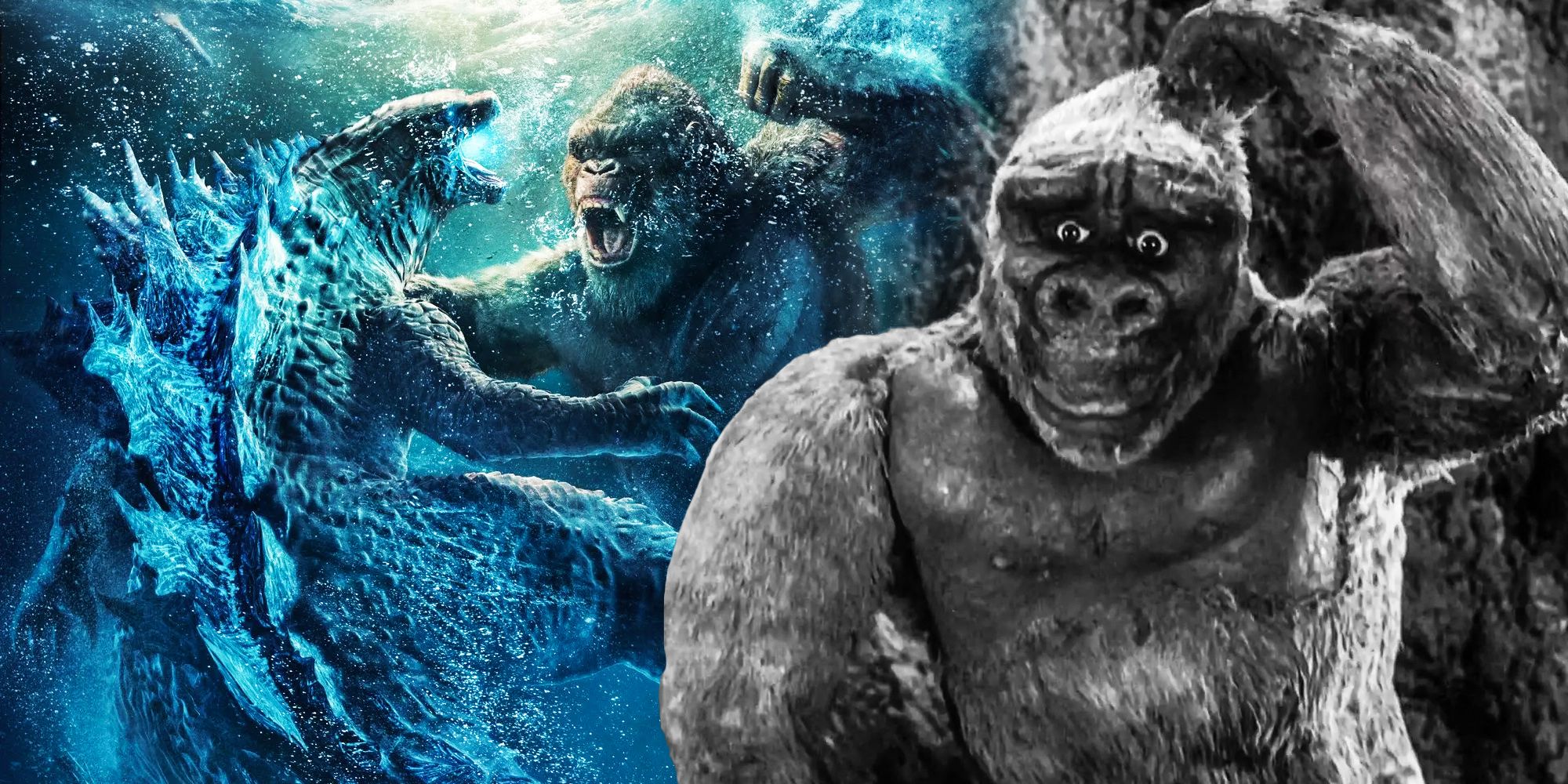Godzilla vs kong sequel rumors son of kong