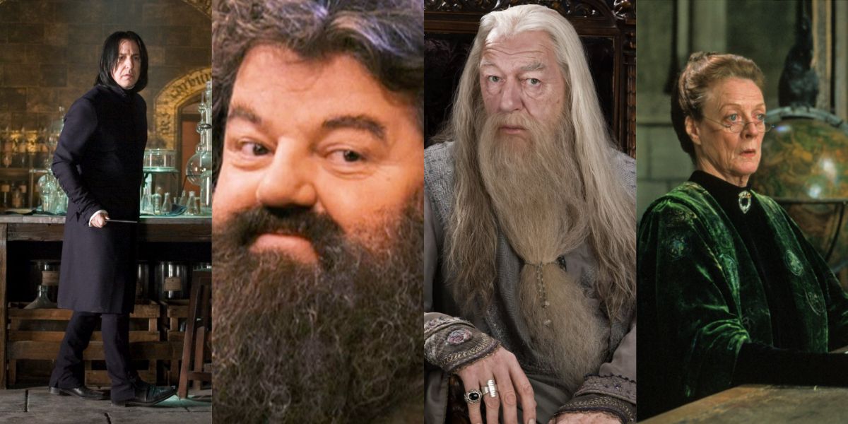 A quad-split image showing, from left to right, Snape, Hagrid, Dumbledore, and McGonagall from Harry Potter