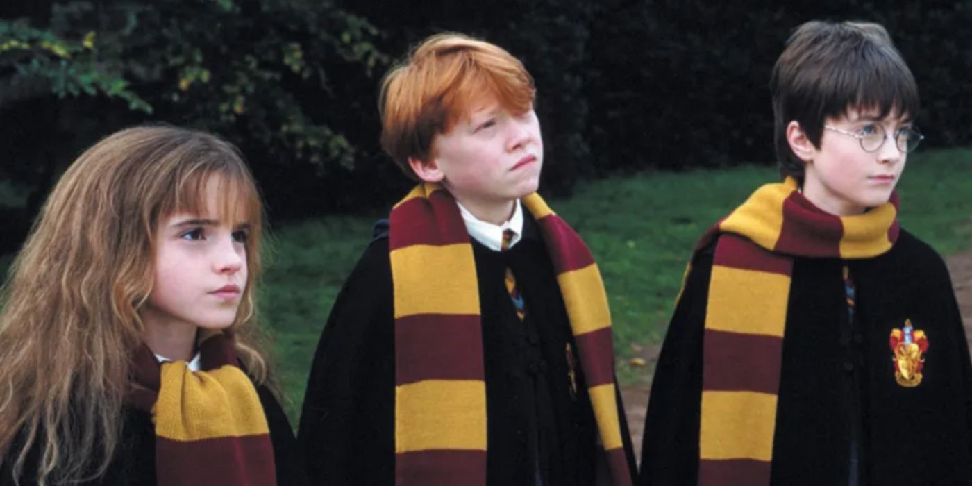 Harry, Ron, and Hermione in Harry Potter