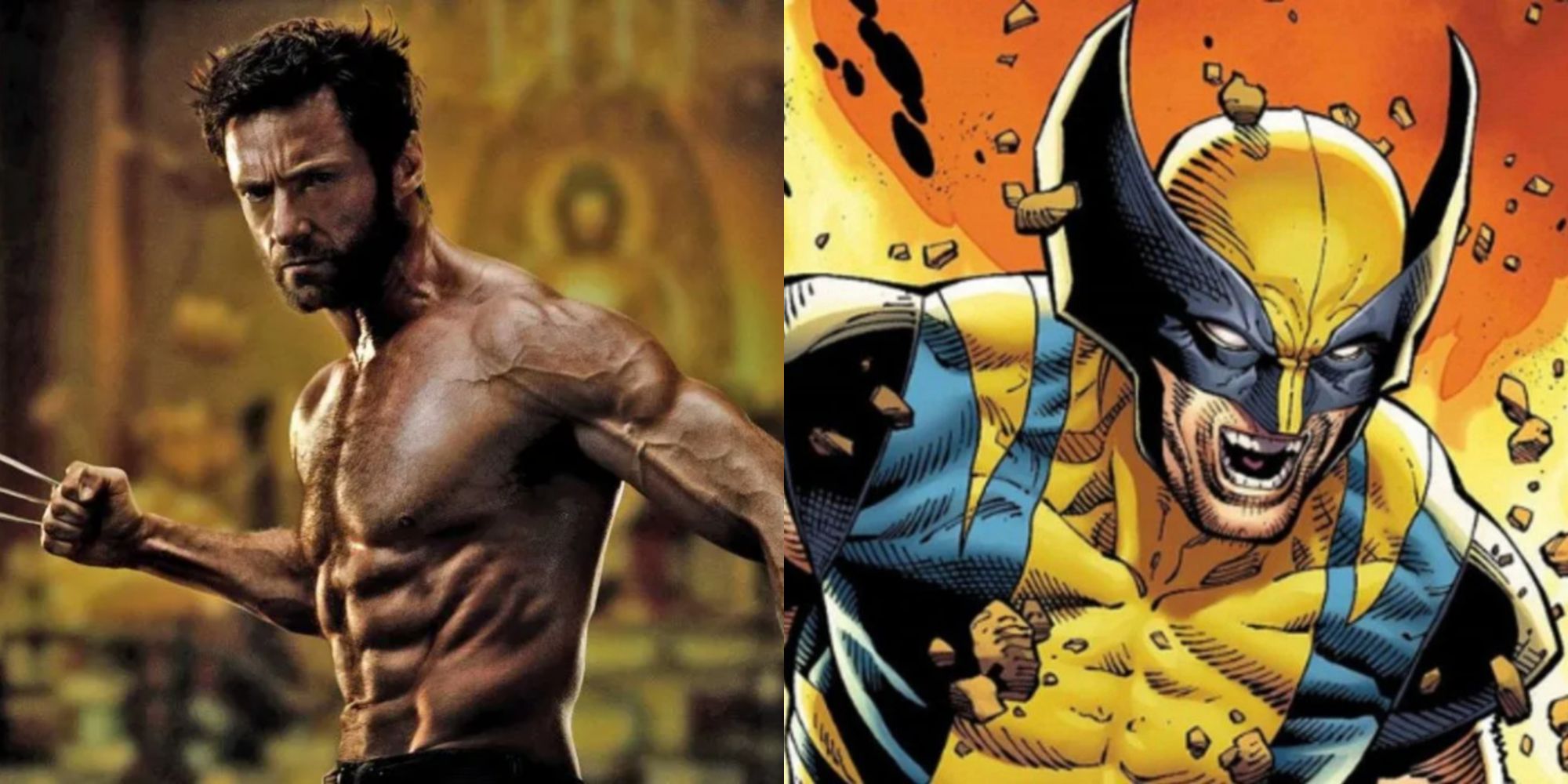 Manga 14 Movie Facts About Wolverine That People Commonly Mistake For ...