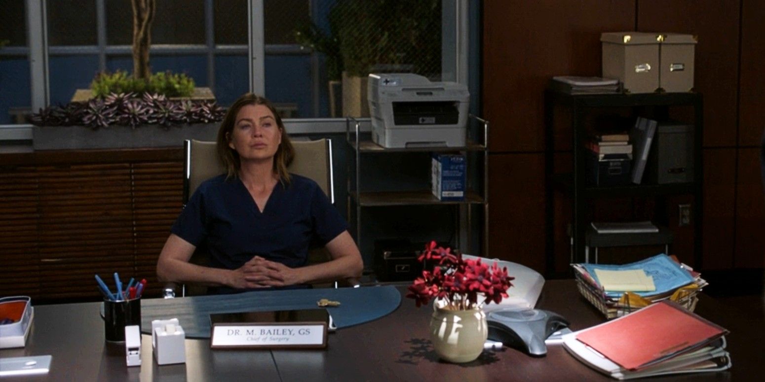 Is Meredith Chief of Surgery Now Greys Anatomy