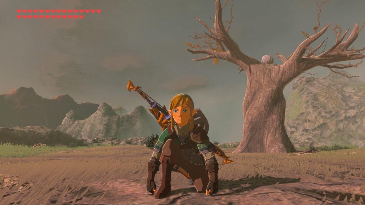 Link crouching in front of tree in Mekar Island.