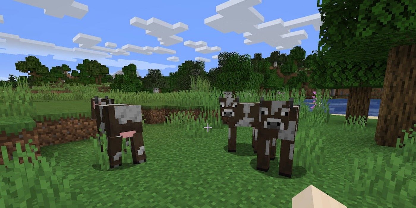 Minecraft Cows