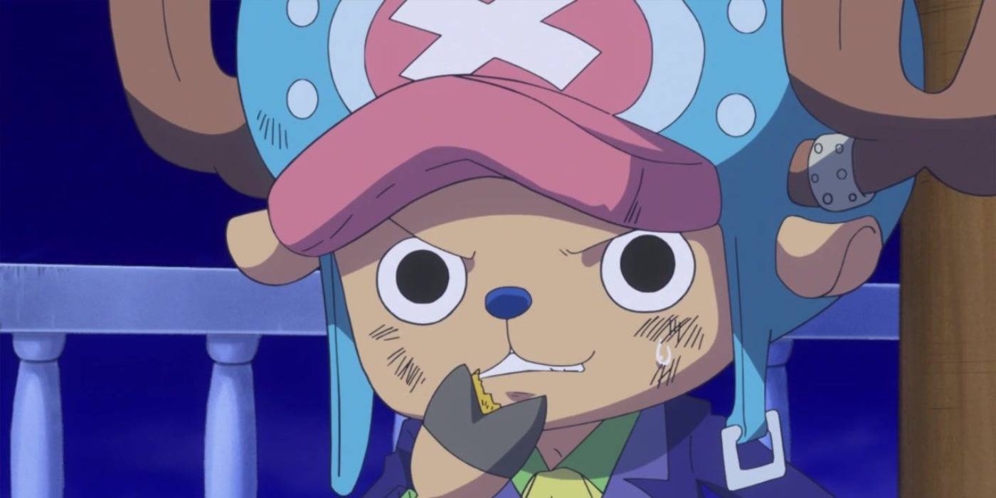 One-Piece-Chopper-Smug-Suit.jpg