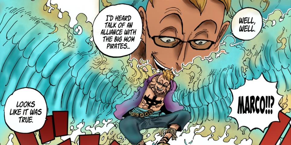 10 One Piece Characters That Could Have Become Members Of The Straw Hats 10 One Piece Characters That Could Have Become Members Of The Straw Hats