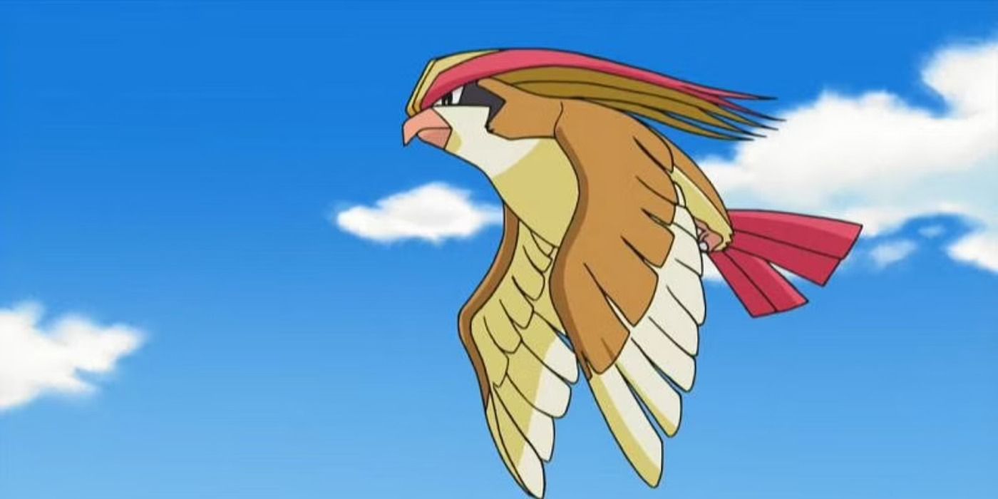 Pidgeot flying in the Pokémon anime.