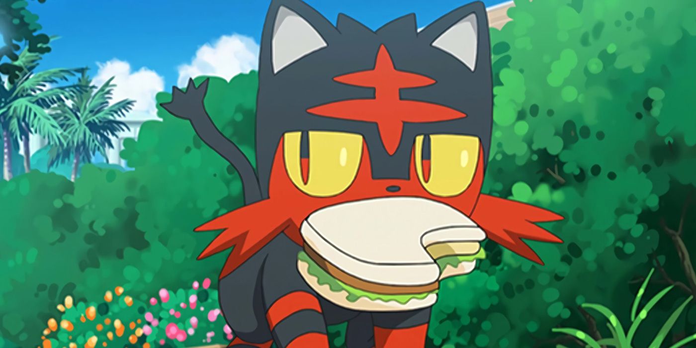 Pokemon Why Litten Is A Cute Starter But Also Really Gross Pokedex Entry