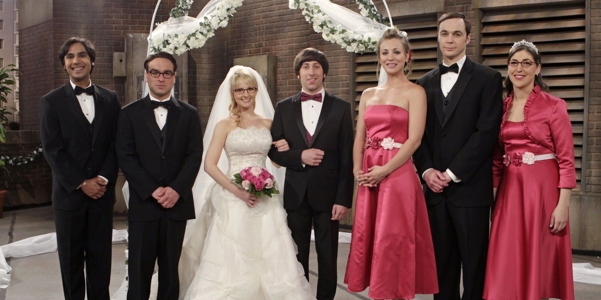 Raj, Leonard, Bernadette, Howard, Penny, Sheldon and Amy at Bernadette and Howard's wedding