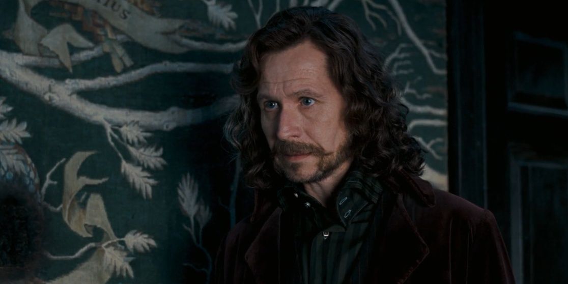 Sirius Black standing in his house in Harry Potter and the Order of the Phoenix