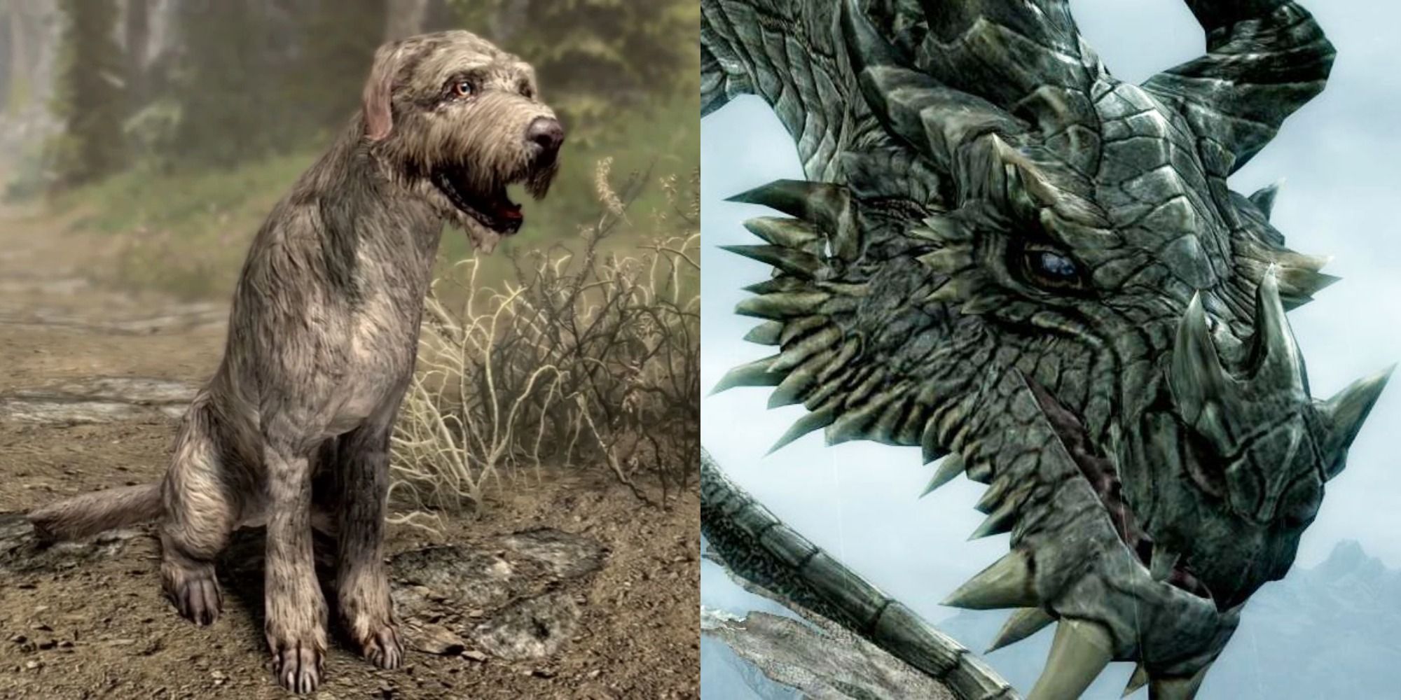 Split image showing Barbas and Paarthurnax in Skyrim.