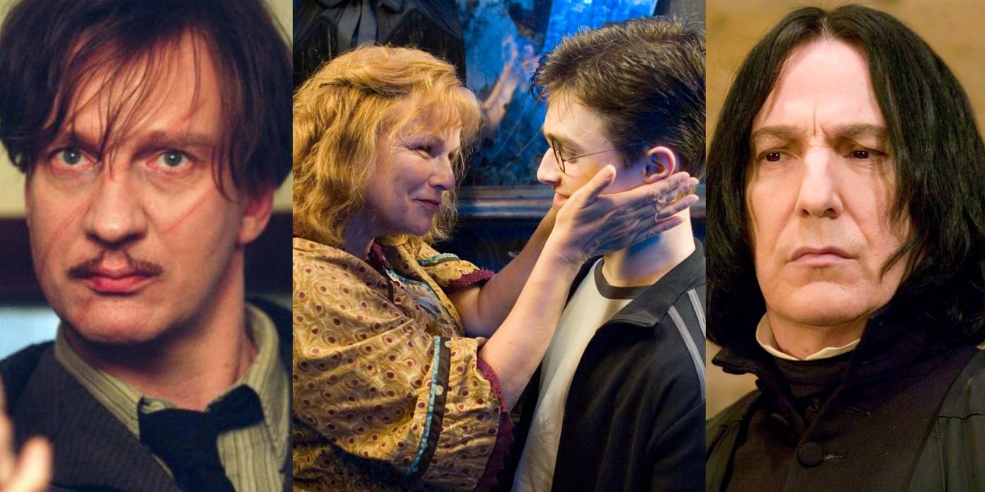 10 Adult Harry Potter Characters Who Repeatedly Ignored Their Own ...