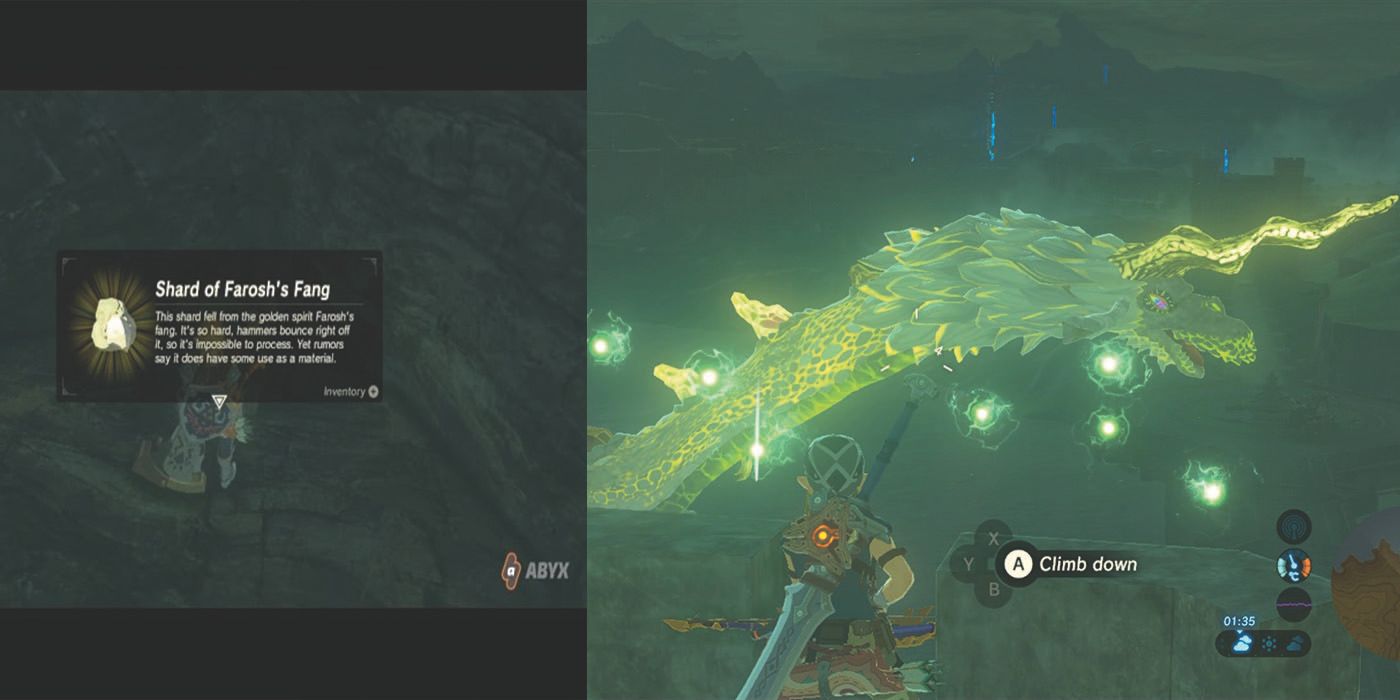 The Legend of Zelda Breath of the Wild Shard of Farosh’s Fang