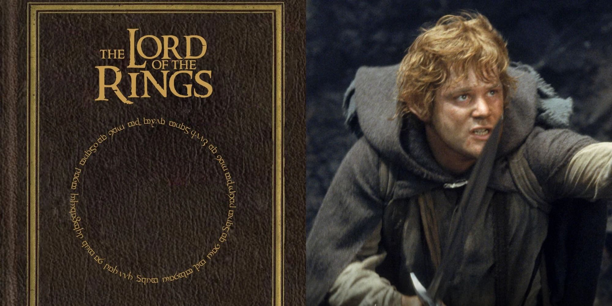 a split image showing The Lord of the Rings book cover on the left and Sam from movie on the right. 