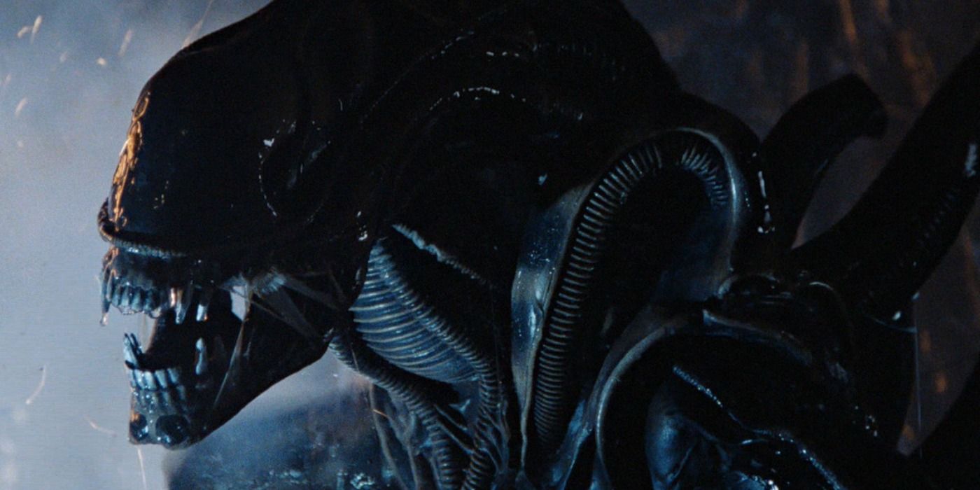 The Xenomorph