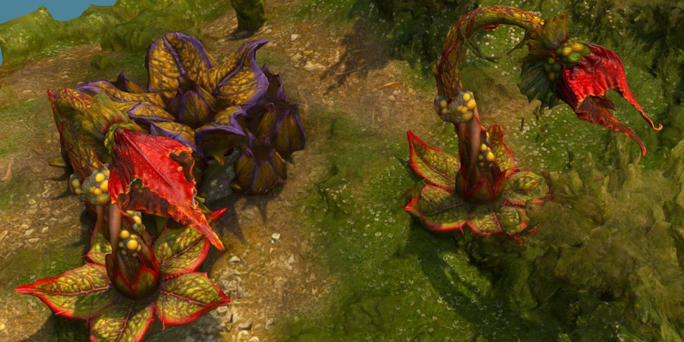 Witcher 3 Blood and Wine Archespore Monster