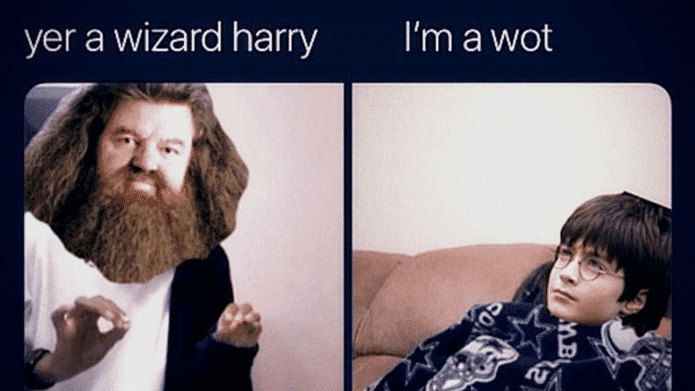Youre a wizard Harry meme