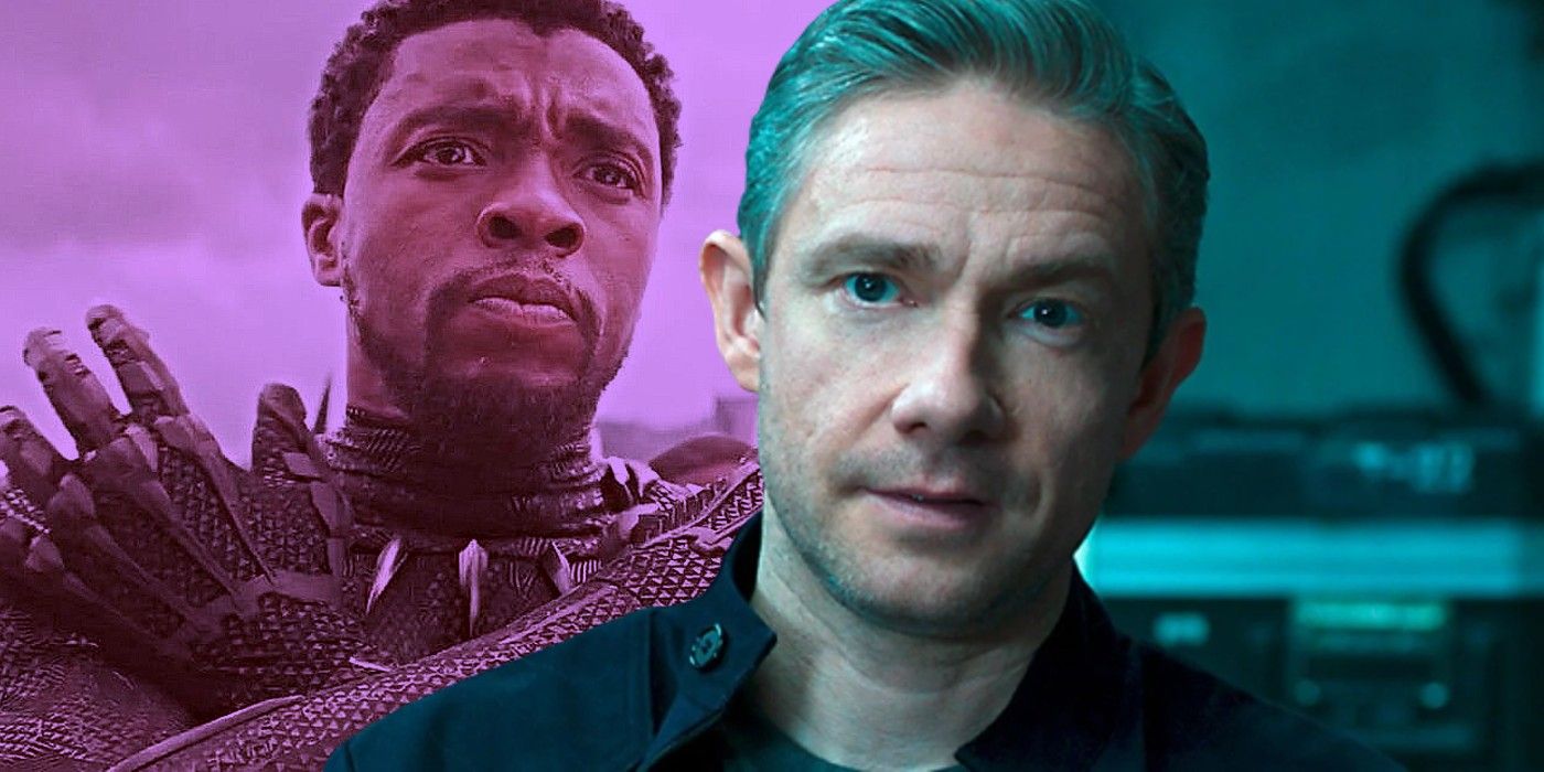 chadwick boseman as black panther and martin freeman as everett ross in the mcu