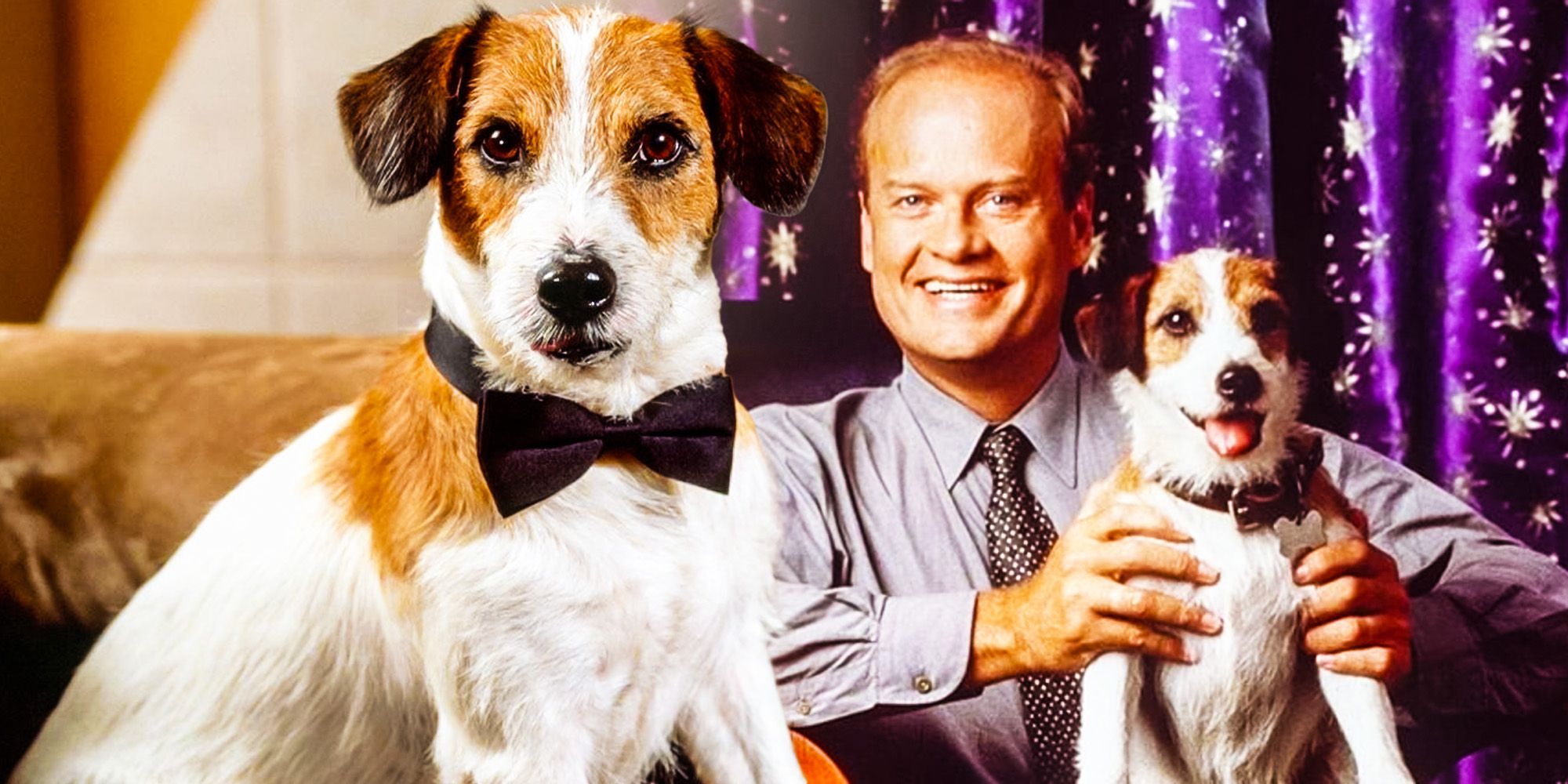 how many dogs played Eddie on frasier