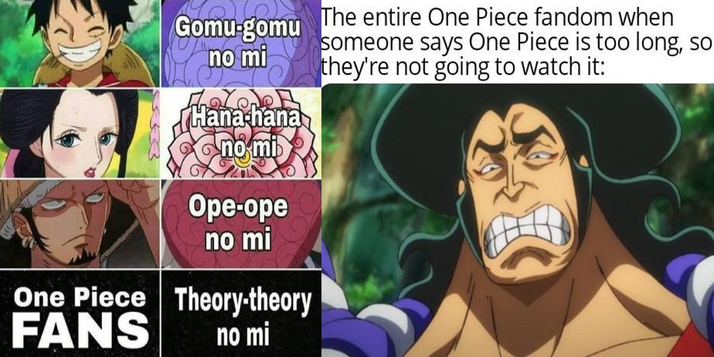 two piece meme one piece