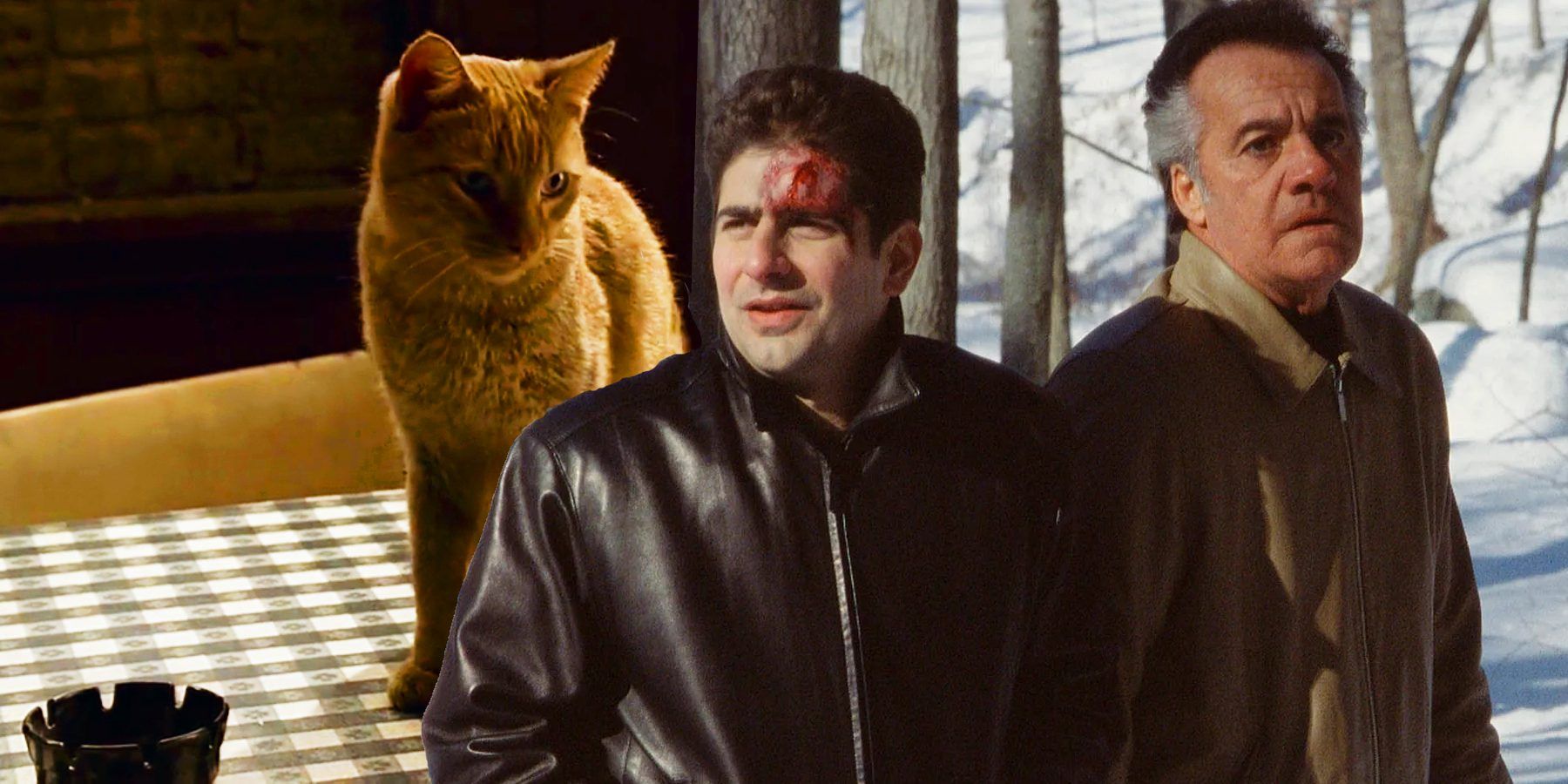 Sopranos Finale Cat, Chris and Paulie