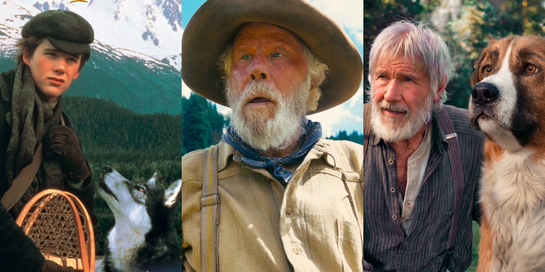Split image: Scenes from cinematic adaptations of Jack London's White Fang, Old Gold Mountain, and The Call of the Wild.