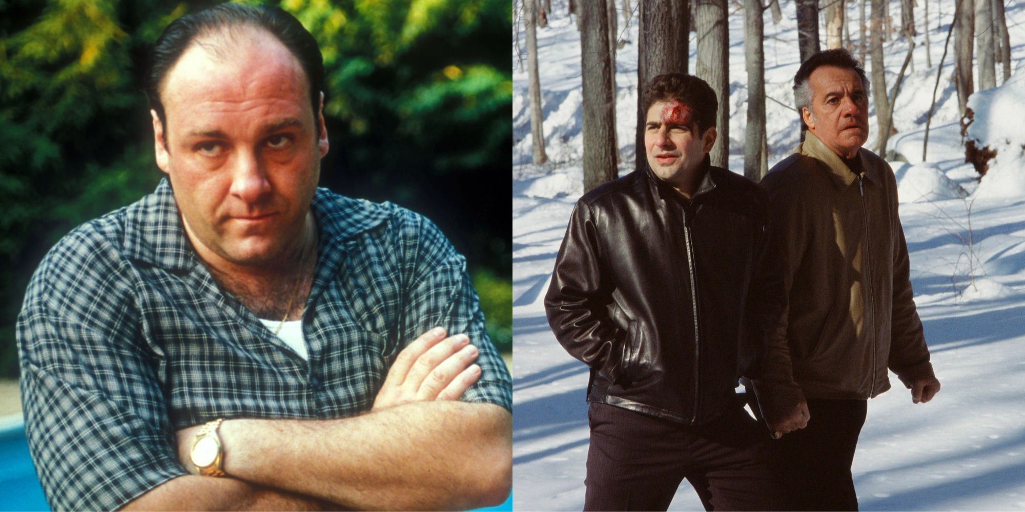 The Sopranos The 9 Best Quotes, According To Reddit