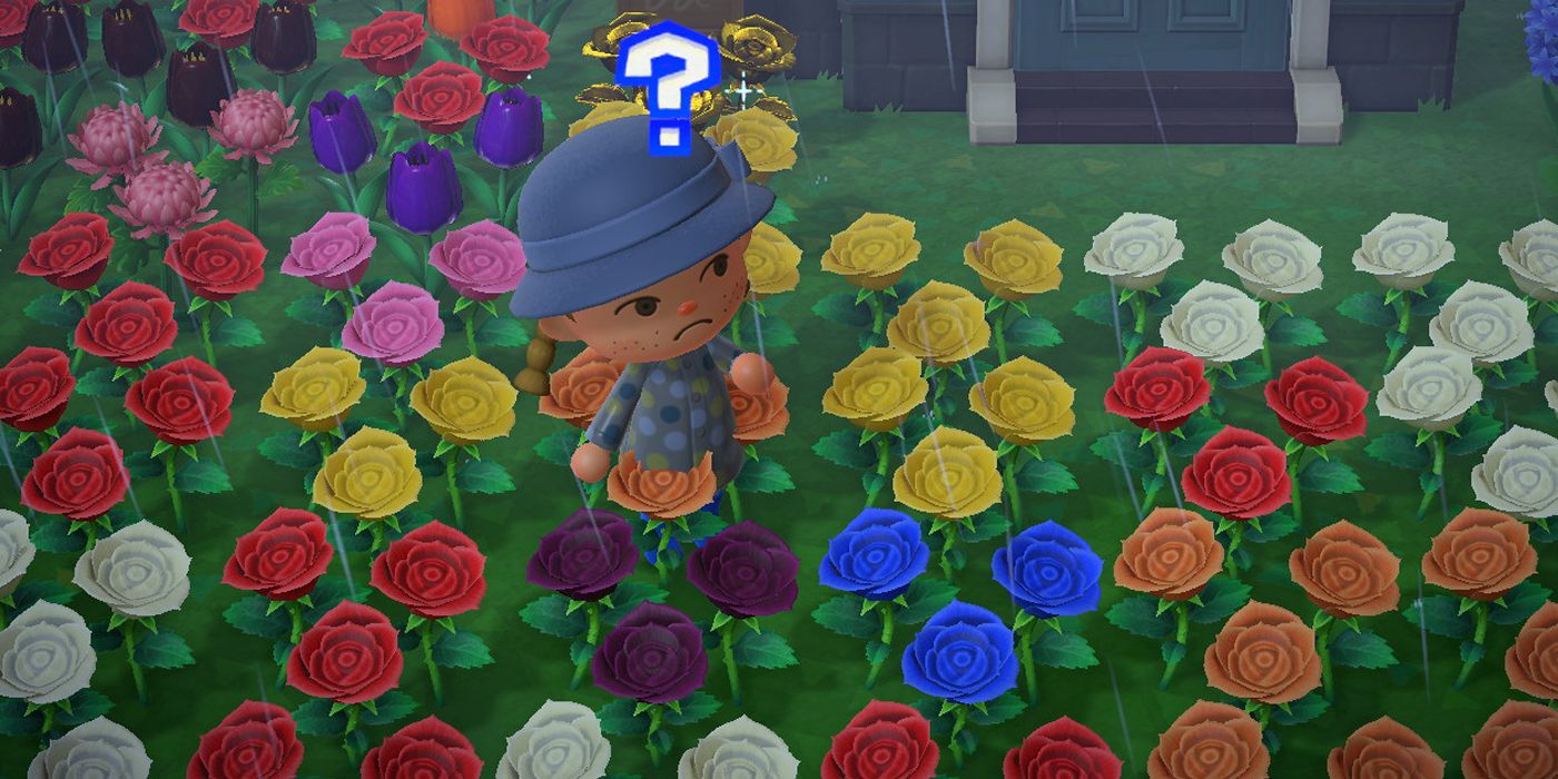 Animal Crossing New Horizons Blue Rose Is Hardest To Crossbreed