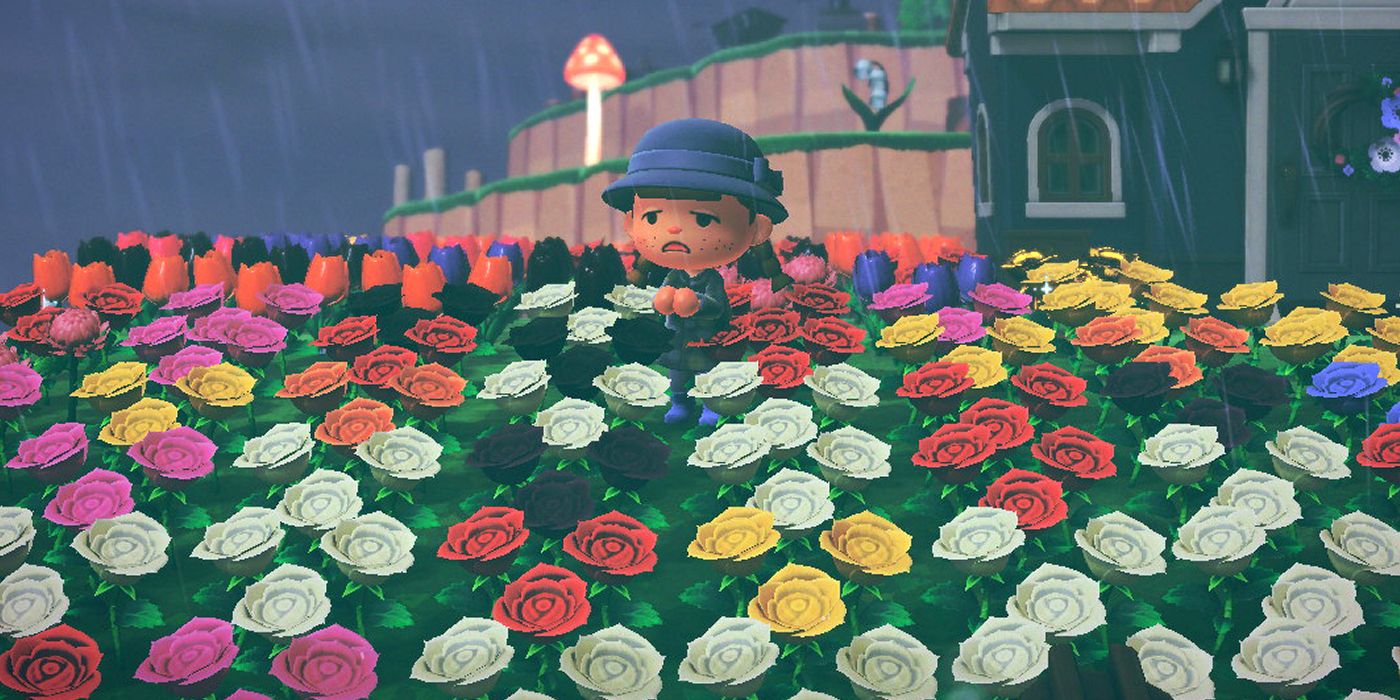 Um jogador parecendo triste no meio de um campo de flores em Animal Crossing New Horizons.