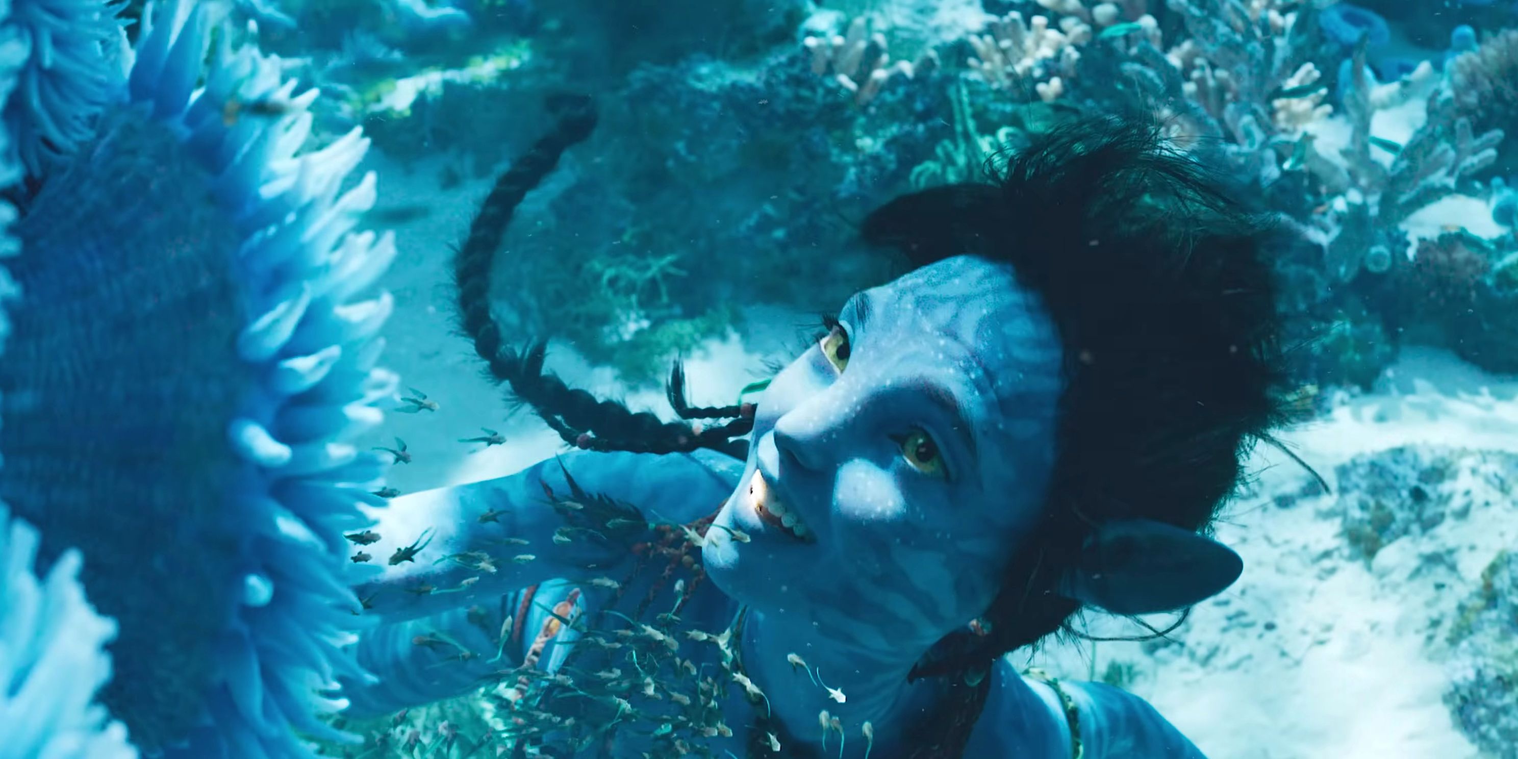 Avatar The Way of Water underwater