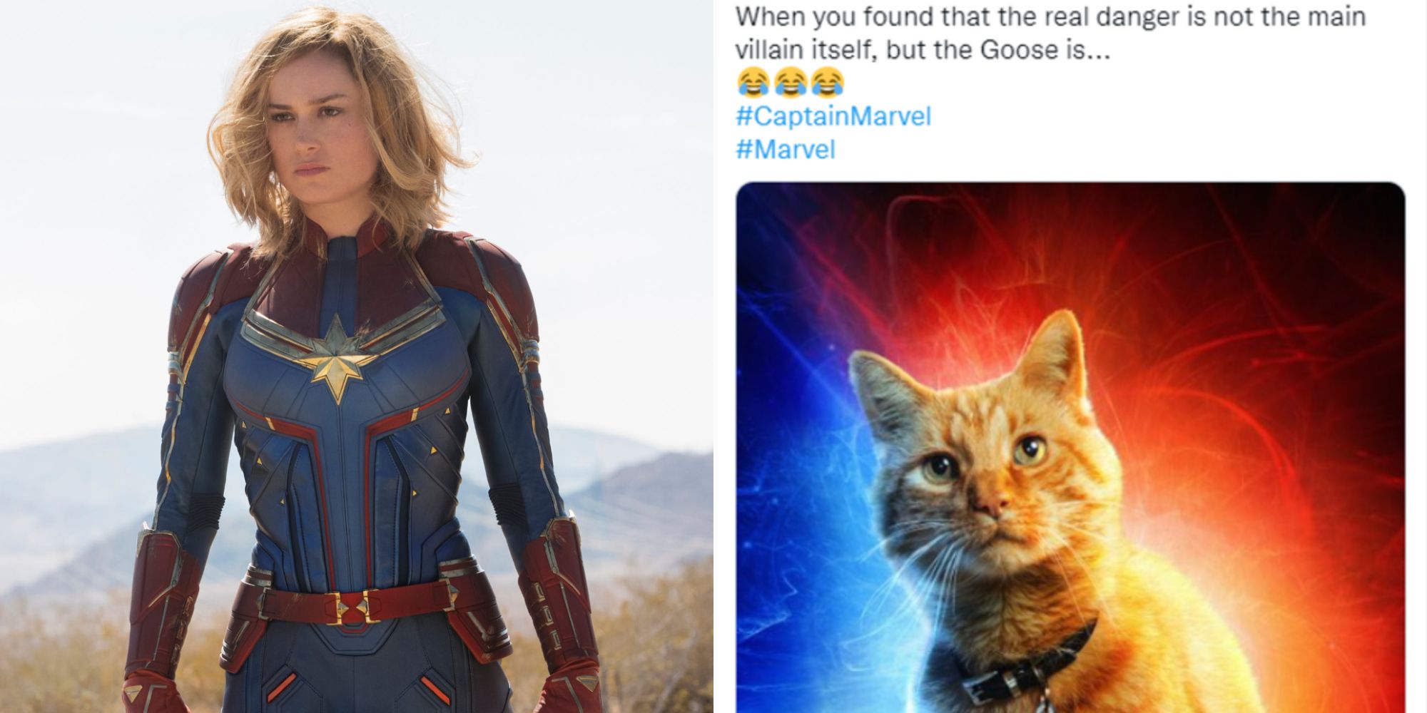 Split image showing Captain Marvel and a meme about Goose the cat.