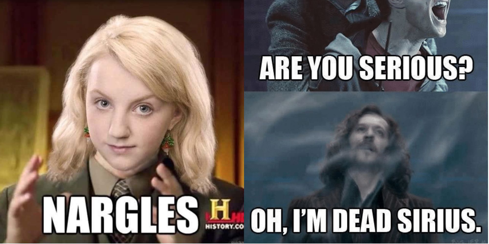 Harry Potter: 10 Memes That Perfectly Sum Up Harry And Voldemort's Rivalry