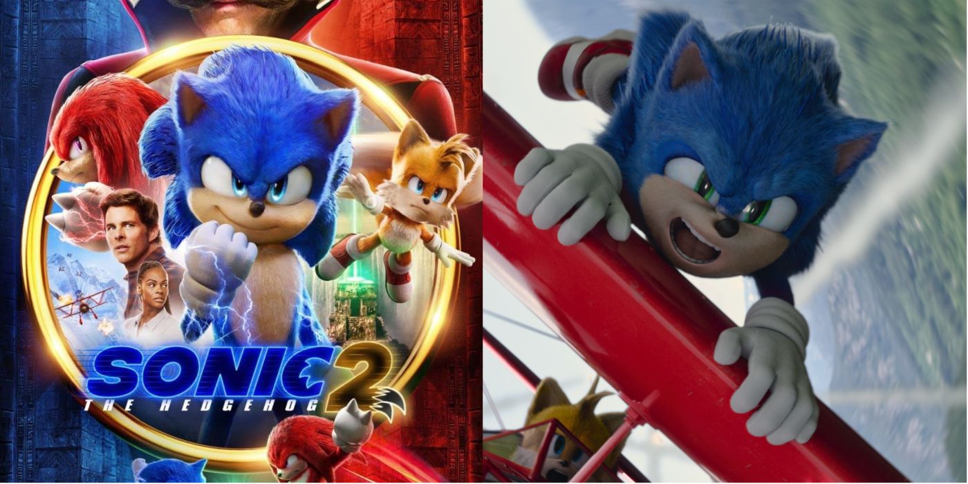 Split Image Sonic The Hedgehog 2 Poster and Sonic hanging on to plane