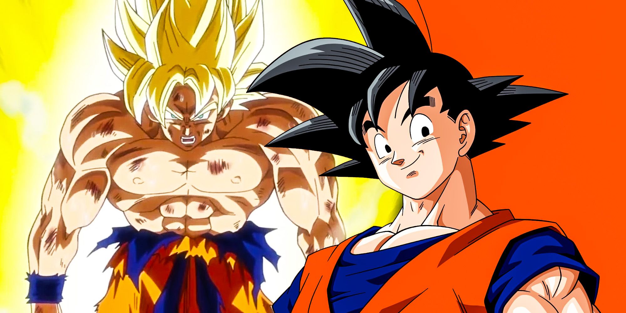 Goku and Vegeta, levels, dbz, saiyans, ssj1, HD wallpaper