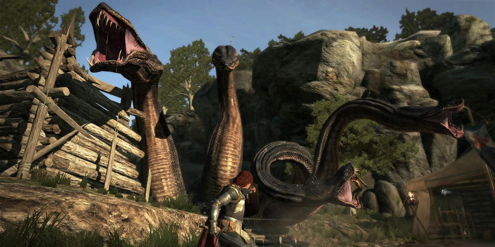 Dragon's Dogma 2 Officially Confirmed to be in Development