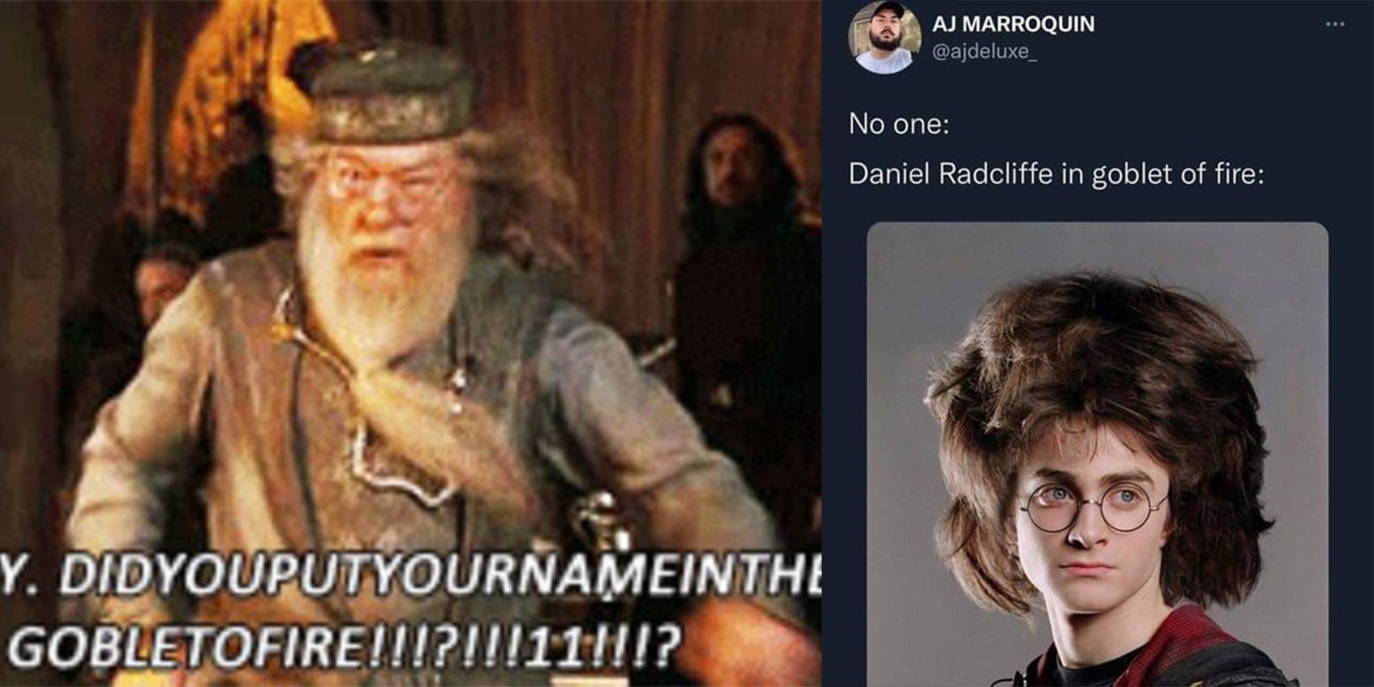 Harry Potter 15 Memes That Sum Up The Goblet Of Fire