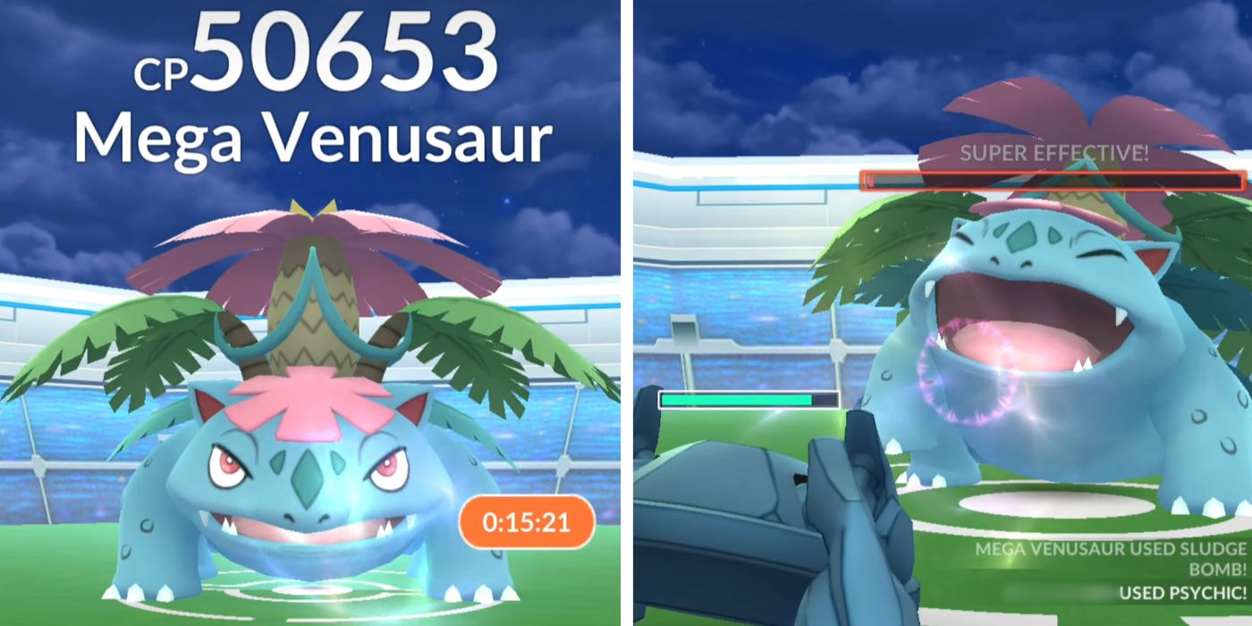 Pokemon go 2025 venusaur raid